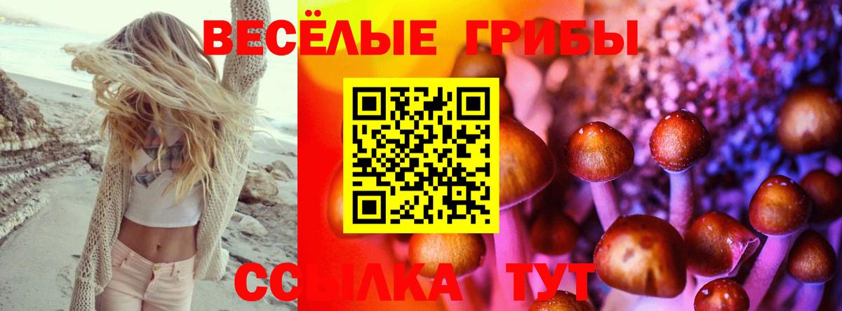 Галлюциногенные грибы ЛСД Вологда